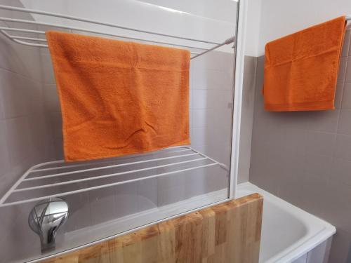 ORION - COSYNEST à Toulouse Blagnac - pkg privé & climatisation 욕실