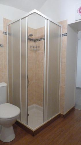 a shower stall in a bathroom with a toilet at Appartement tout confort 2-4 personnes Joyeuse-ARDECHE in Joyeuse