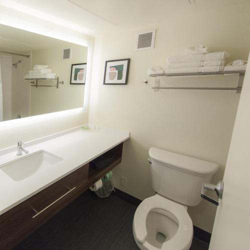 a bathroom with a sink and a toilet and a mirror at Holiday Inn Morgantown - Reading Area by IHG in Morgantown