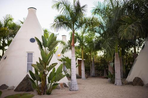 a house with palm trees in front of it at Tribu Todos Santos in Todos Santos