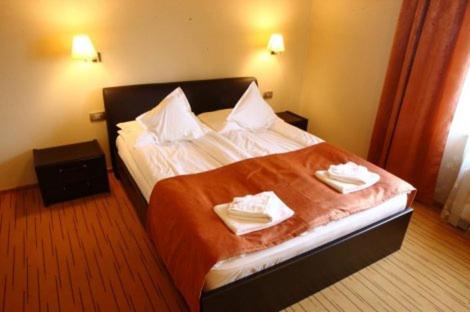 Un pat sau paturi într-o cameră la Hotel Transilvania Zalău