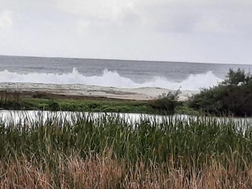 a body of water with a wave in the ocean at Pousada Icthus in Cabo Frio