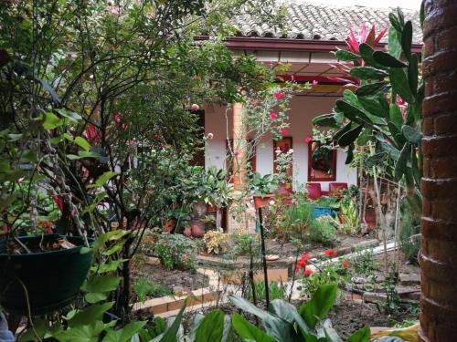 Ocaña的住宿－Hotel Real，植物屋前的花园