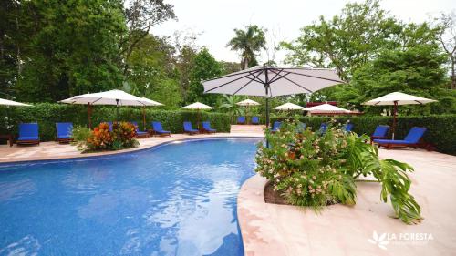 een zwembad met blauwe stoelen en parasols bij La Foresta Nature Resort in Quepos