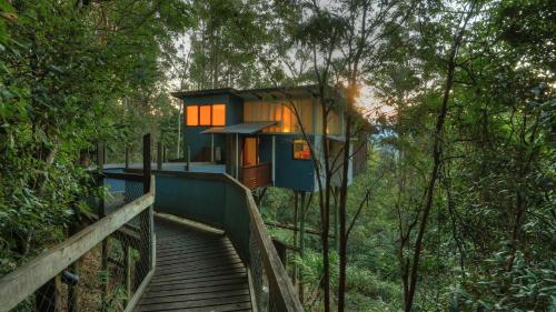 a tree house in the woods with a wooden walkway at Lyola Pavilions in the Forest in Maleny