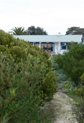 Polperro, a quintessential seaside experience picture