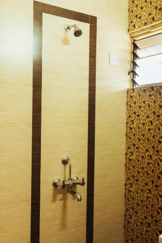 a shower in a bathroom with a faucet at Hotel Arcadia in Panaji