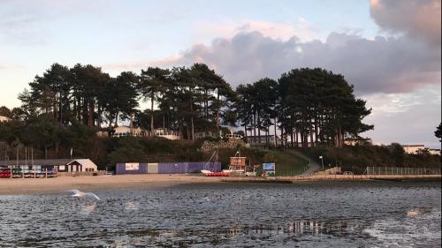 a white bird flying over a body of water at Turlin Valley in Poole