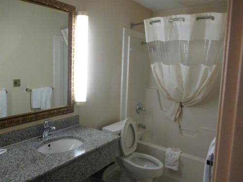 a bathroom with a toilet and a sink and a mirror at Blue Way Inn & Suites Wichita East in Wichita