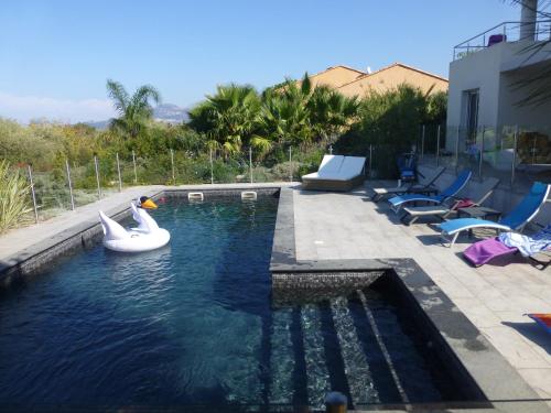 - une piscine avec des nouilles gonflables dans l'eau dans l'établissement Villa Vellutini, à Calvi