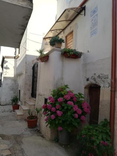 a building with flowers on the side of it at San Leonardo - ApartHotel in Laterza