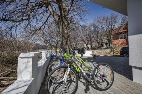 Jízda na kole v ubytování Luxury House Cesarica nebo okolí