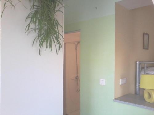 a green room with a plant hanging from the wall at Le Trèfle d'Or in Gérardmer