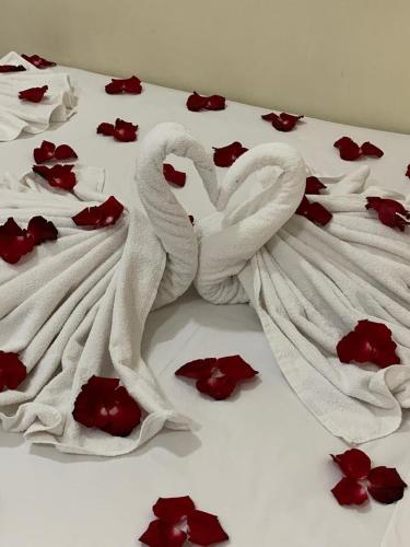 two white swans laying on a bed with red roses at Pousada Cabo Branco in João Pessoa