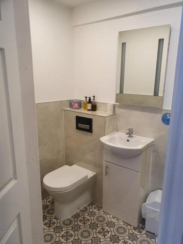 La salle de bains est pourvue de toilettes, d'un lavabo et d'un miroir. dans l'établissement The Lodge Harrogate, à Harrogate
