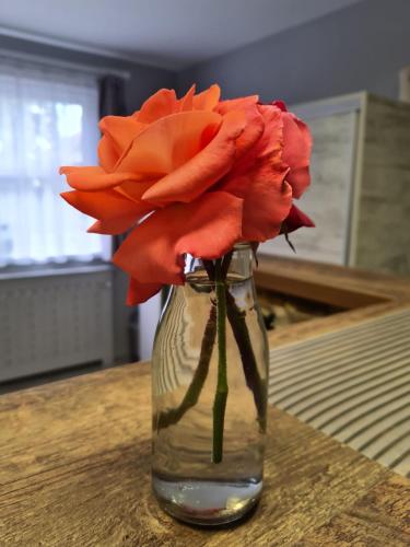 Fotografie z fotogalerie ubytování Casa Cibian v destinaci Brašov