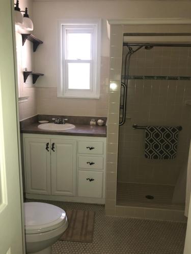 ein Bad mit einem WC, einem Waschbecken und einer Dusche in der Unterkunft Ardendales in Brooksville