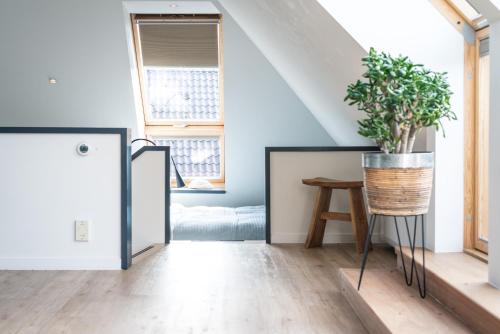 a living room with a plant in a bucket at Loft 8 Linden in Groot-Linden