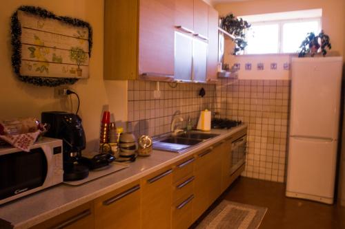 a kitchen with a white refrigerator and a microwave at La Cancellata di Mezzo in Zagarolo