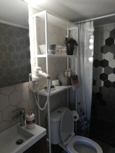 a bathroom with a toilet and a sink and a shower at Jani's Beach House in Neoi Epivates