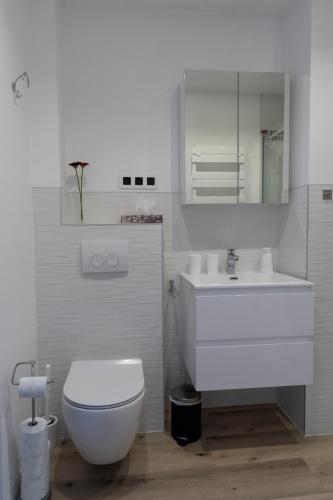 a white bathroom with a toilet and a sink at Modern duplex with garden in Brussels
