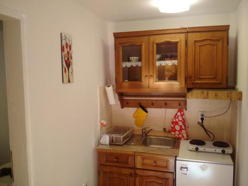 Gallery image of Apartman Djordano in Pirot