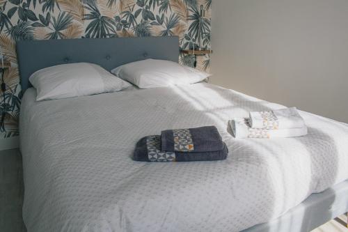 - un lit avec deux chapeaux et oreillers dans l'établissement T2 BedinSaumur LOIRE CHATEAU tout CONFORT, à Saumur