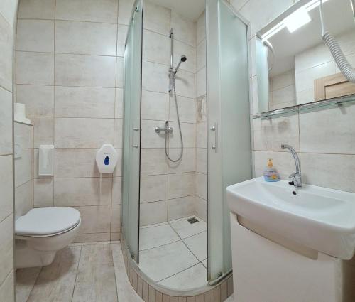 a bathroom with a shower and a toilet and a sink at Stredisko Lipka in Bardejov
