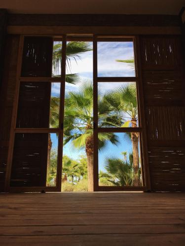 an open door with a palm tree outside at Tribu Todos Santos in Todos Santos