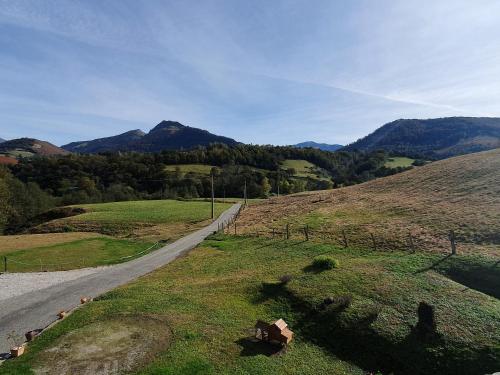 a road in a field with mountains in the background at Au Nid de Caroline gîte 4 étoiles in Arette