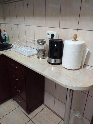 a kitchen counter with a toaster and a roll of paper towels at Apartments comfortablе in Chernivtsi