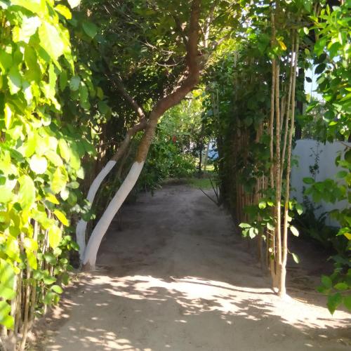 Taman di luar Pousada Dolce Mare