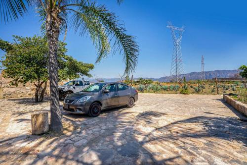 a car parked next to a palm tree at Capital O Hotel Posada Terraza, Tequila Jalisco in Tequila