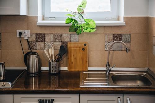 Kuchyň nebo kuchyňský kout v ubytování Magas-lak Apartman Eger