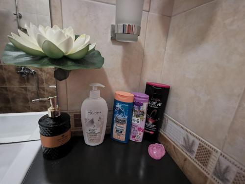 - un comptoir de salle de bains avec 4 bouteilles de savon et une fleur dans l'établissement Mimi's place/ Уют в центъра на София, à Sofia