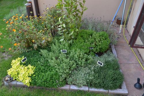 a garden with many different plants and flowers at Pension Betty in Tábor