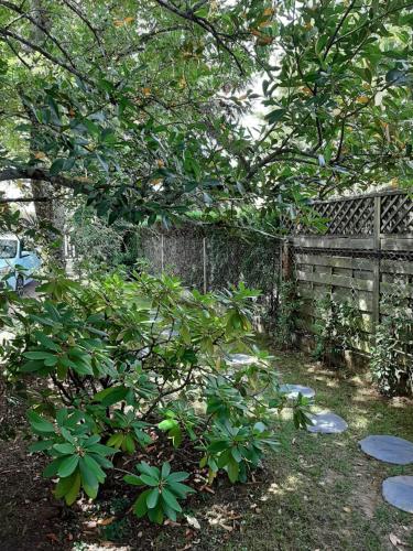 a tree in a yard next to a fence at SAKURA in Fontaine-le-Comte