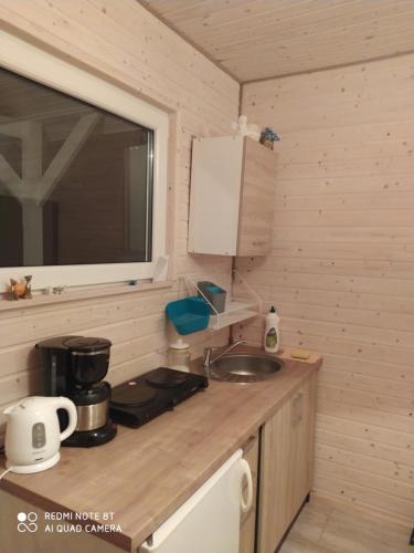 uma cozinha com um lavatório e uma bancada em Domek Pralinka nad jeziorem - "Ostoja Penderoza" em Wolin