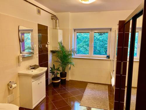 a bathroom with a sink and a toilet and a mirror at Słupsk forest PREMIUM HOTEL APARTAMENT M6 - Kaszubska street 18 - Wifi Netflix Smart TV50 - two bedrooms two extra large double beds - up to 6 people full - pleasure quality stay in Słupsk