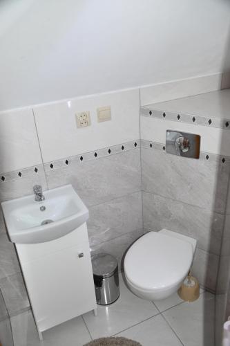阿洛維察的住宿－杜密傑麗斯卡酒店，浴室配有白色卫生间和盥洗盆。