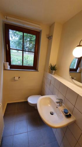 baño con lavabo y aseo y ventana en Ferienwohnung auf idyllischen Gestüt auf historischen Gutshof in Hessen en Bad Hersfeld