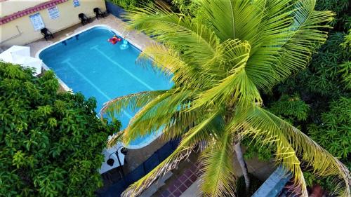 an overhead view of a palm tree next to a swimming pool at Condominio El Portal Casa 3 in Carmen de Apicalá