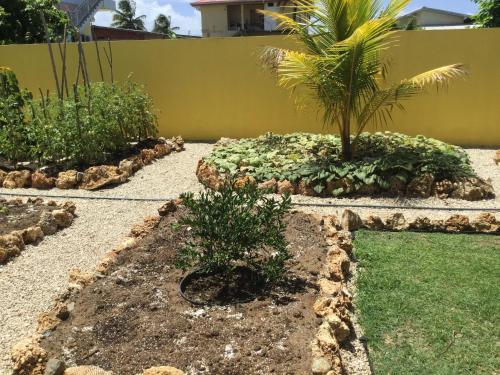 a garden with a palm tree and some plants at CC Best Villas Tobago in Lowlands