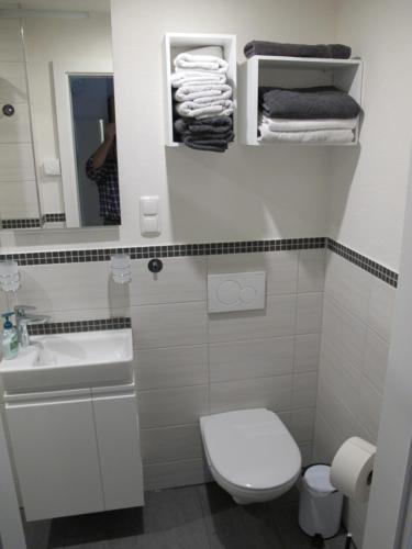 ein Badezimmer mit einem WC, einem Waschbecken und einem Spiegel in der Unterkunft Ruhiges Zimmer 2 in Angersbach