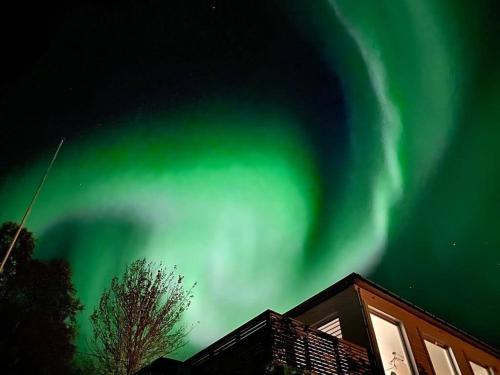 an image of the aurora in the sky over a house at Waterfront Senja in Torsken