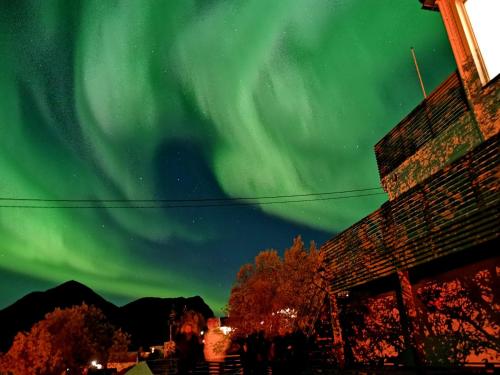 an image of the aurora borealis in the sky at Waterfront Senja in Torsken