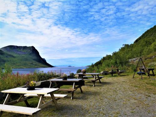 a group of picnic tables with a view of a lake at Waterfront Senja in Torsken