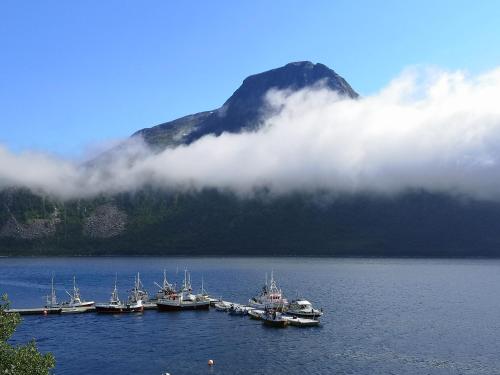 a group of boats in a body of water with a mountain at Waterfront Senja in Torsken