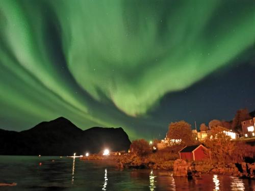 an aurora over a body of water at night at Waterfront Senja in Torsken