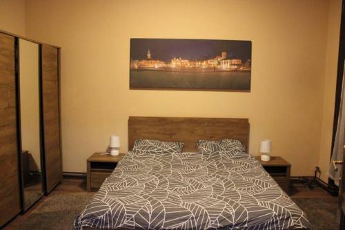 1 dormitorio con 1 cama y una pintura en la pared en Downtown central-apartment, en Oradea